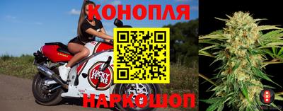 амф Будённовск