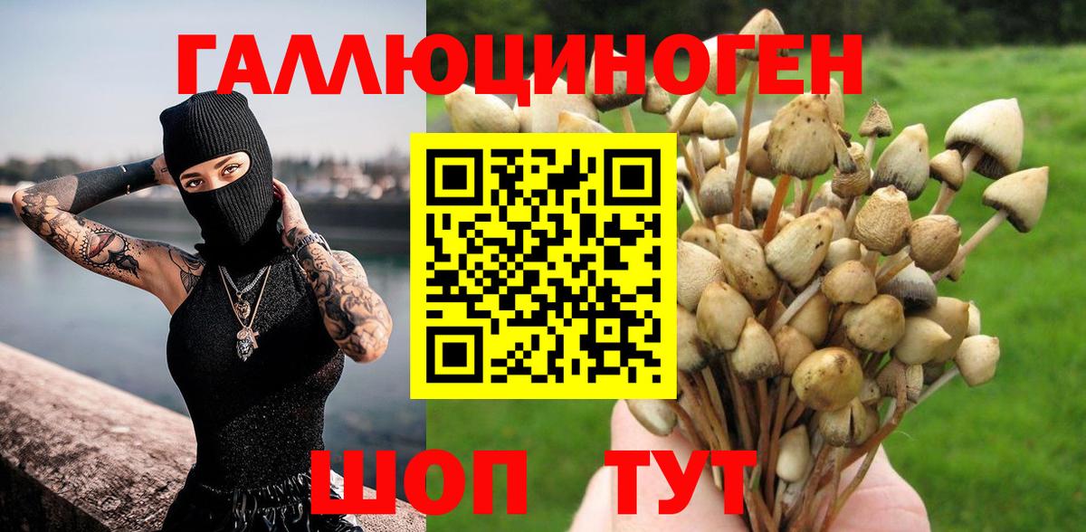 как найти закладки  Вход с VPN  Шахты  Псилоцибиновые грибы прущие грибы  Галлюциногенные грибы MAGIC MUSHROOMS 