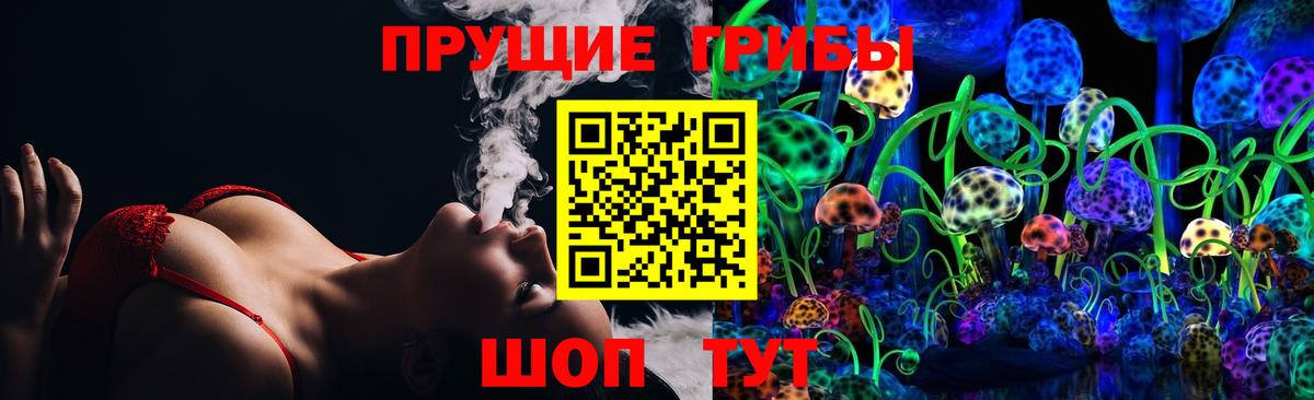 Галлюциногенные грибы Psilocybine cubensis Шахты